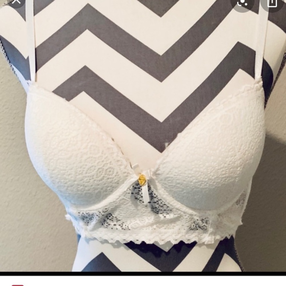 Daisy Fuentes Beautiful Lace Bra 36C